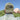 Shade Raised Organic - Hat
